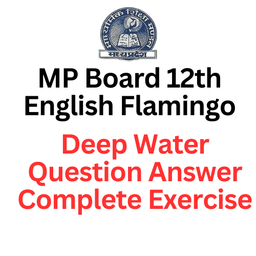 MP Board 12th Engish Flamingo Deep Water Question Answer